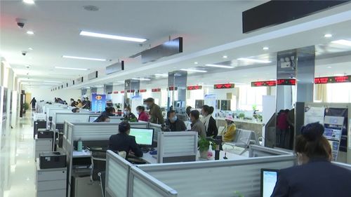 互联网 政务服务 跑出便民利民加速度