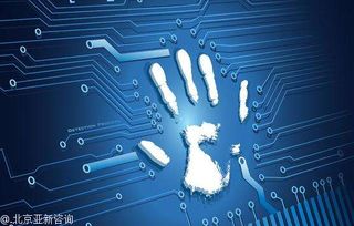 个人如何申请各类网络文化经营许可证 全面指南与注意事项